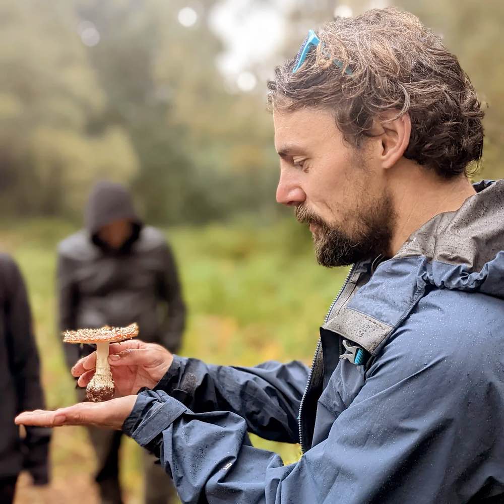 Mushroom Foraging Walk with Nick Phillips 2025