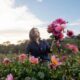 Delightful Dahlias with Anna May of Dorset Dahlias
