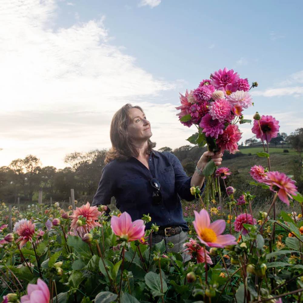 Delightful Dahlias with Anna May of Dorset Dahlias