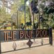 Wild Wednesdays - For Kids! at The Blue Pool