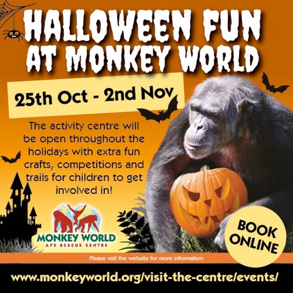 Half term at monkey world