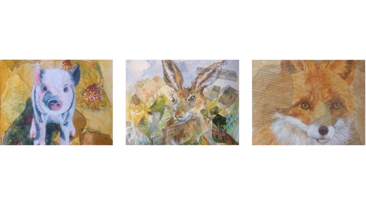 Wimborne art club pop up exhibition 2