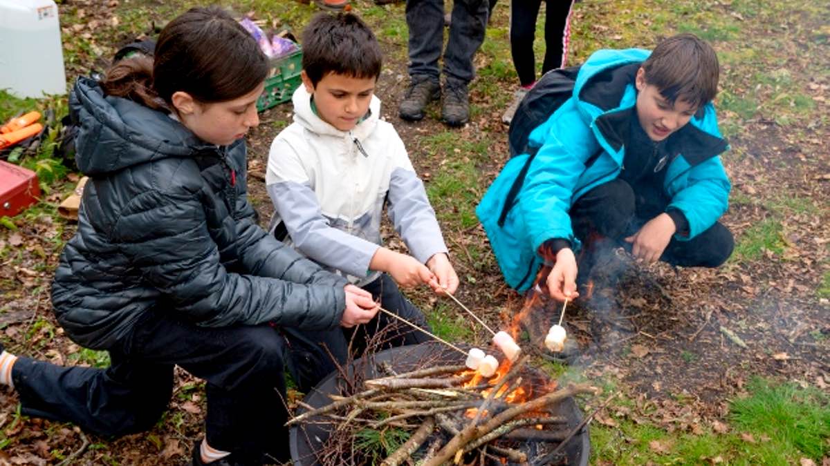 Free Bushcraft Session on Brownsea Island