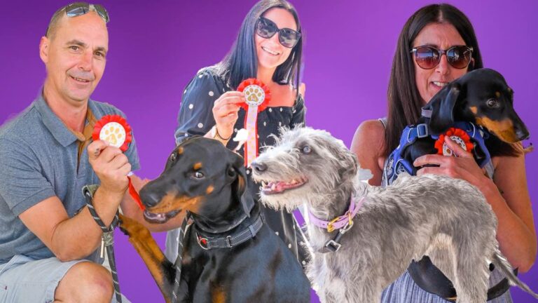 Lyme regis family dog show 2025