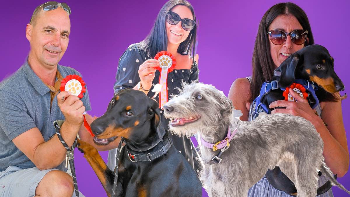 Lyme regis family dog show 2025