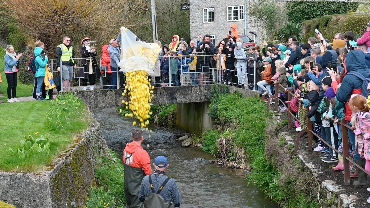 Duck race