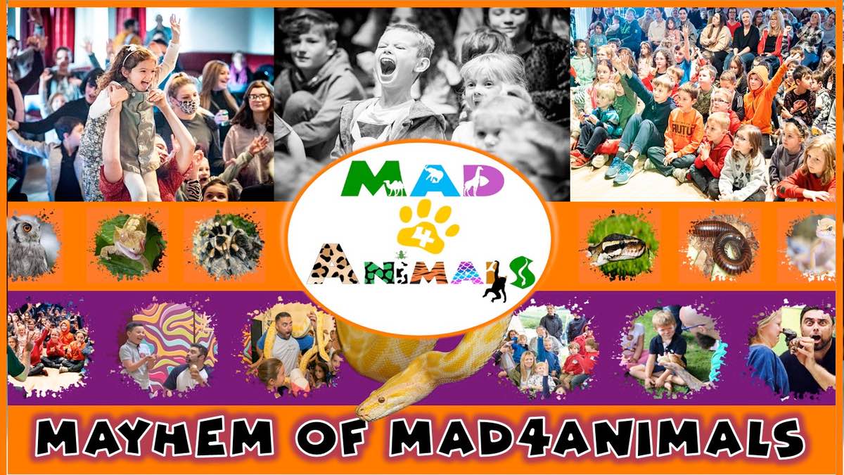 Mayhem of mad4animals the great field poundbury