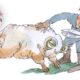Cattistock Countryside Show 2025