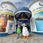 Discounted entry at Rock Reef and Bournemouth Oceanarium