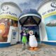 Discounted entry at Rock Reef and Bournemouth Oceanarium