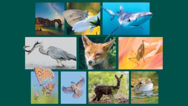 Wildlife photography exhibition