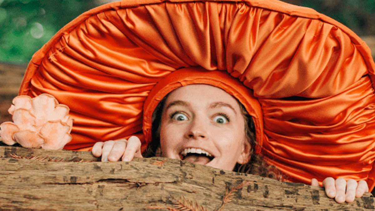 Scratchworks theatre the mushroom show og