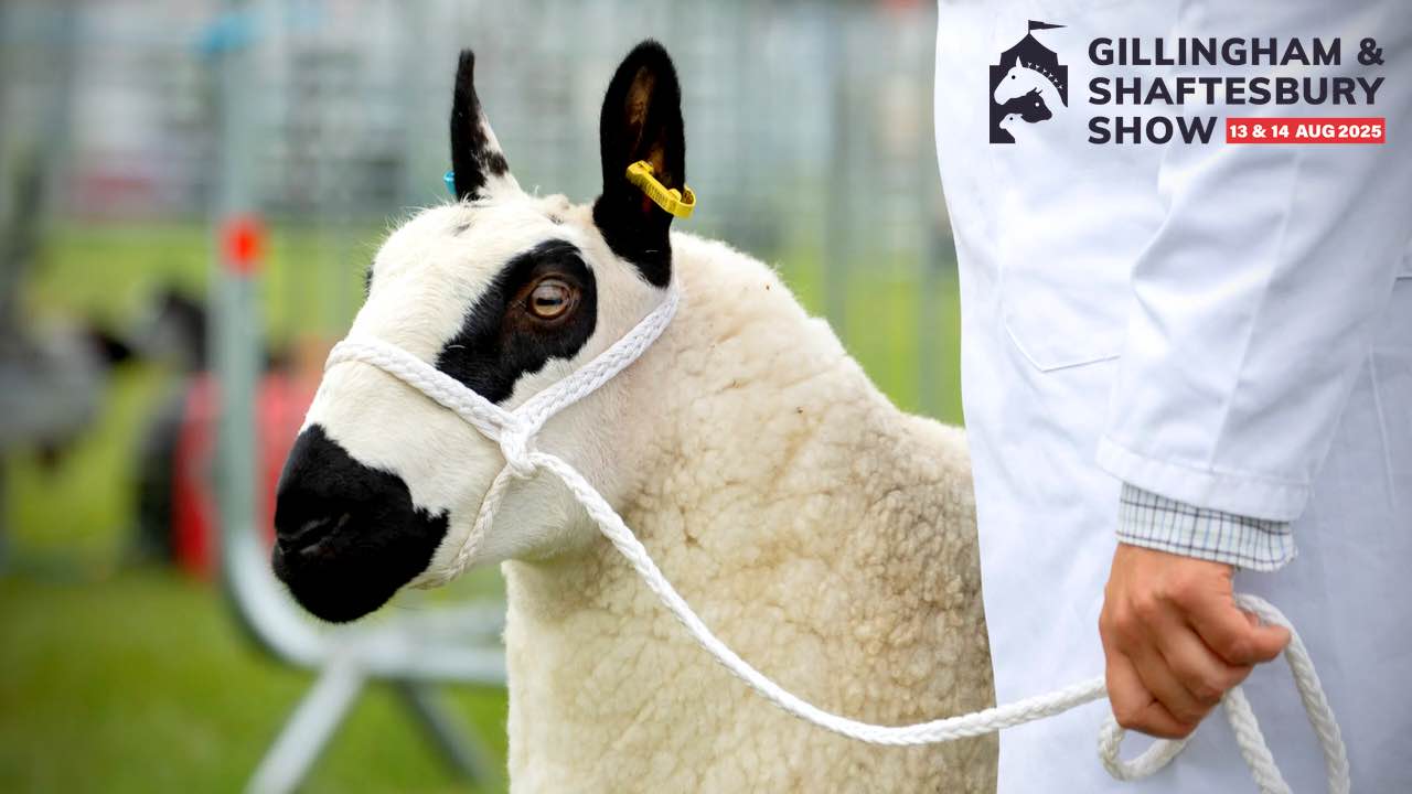 Gillingham & shaftesbury show 2025