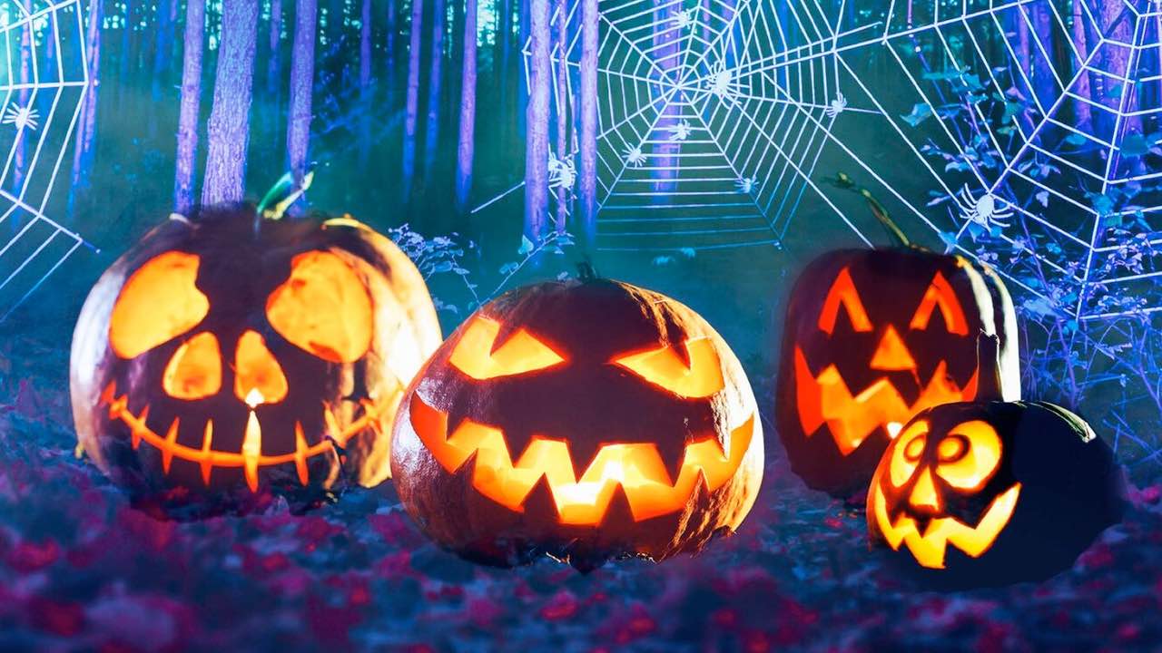 Halloween at Moors Valley - Family-Friendly Illuminated Adventure