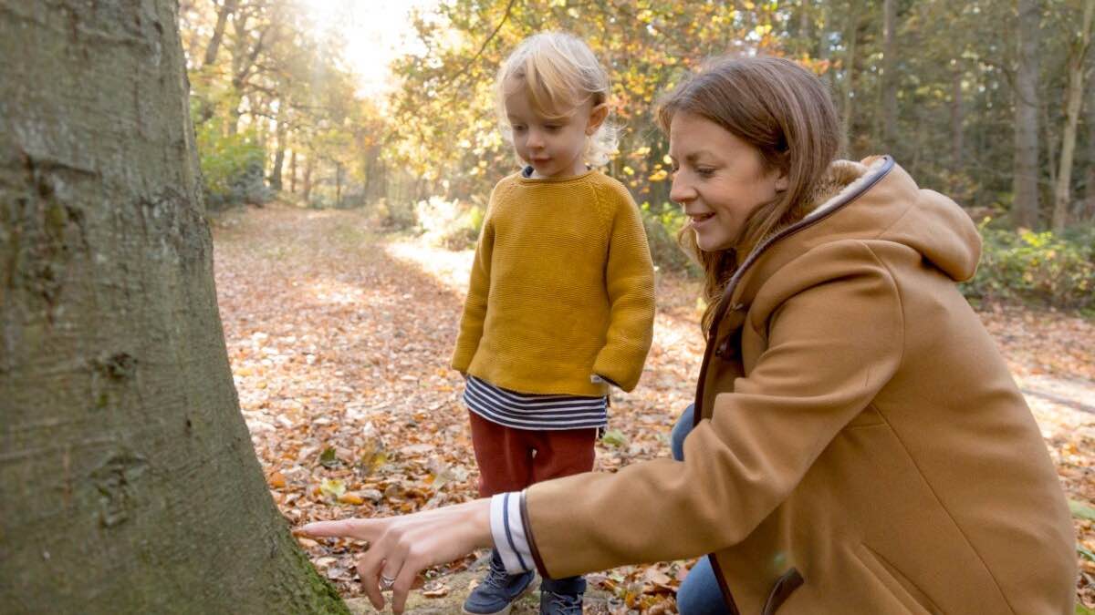 Mystical Woodland Quest Trail