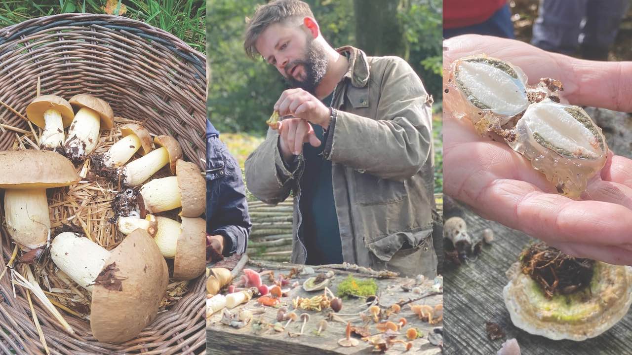 A Magical morning of mushrooms and fungi treats