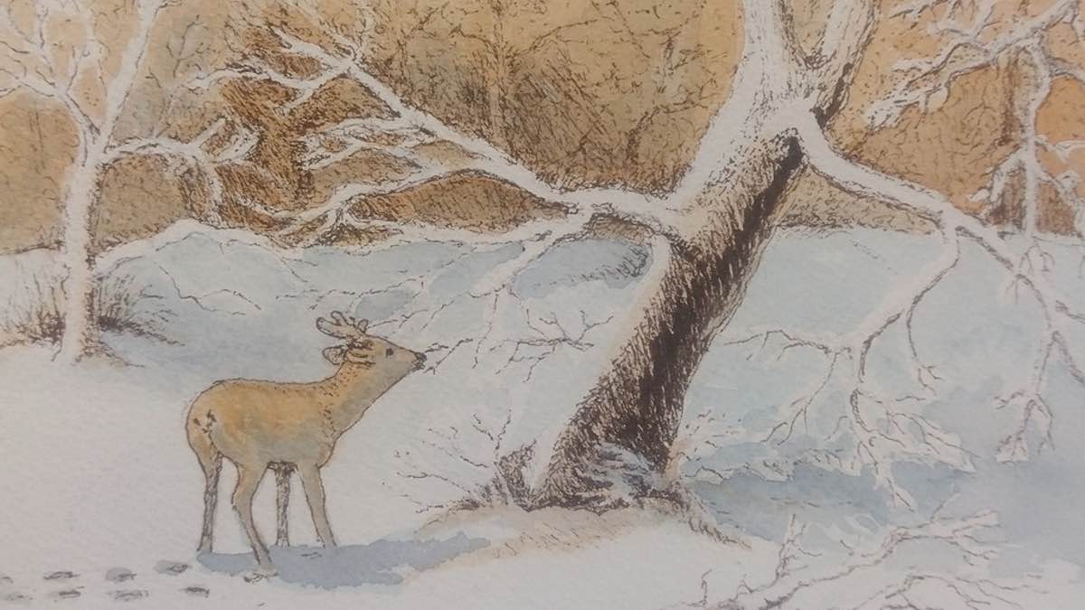 Wimborne art club winter exhibition