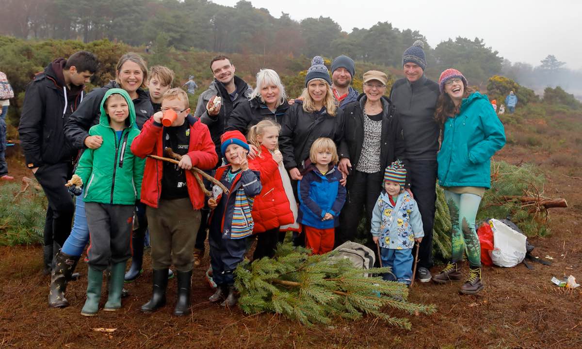 A Dorset Christmas Festival: Pull a Pine at RSPB Arne