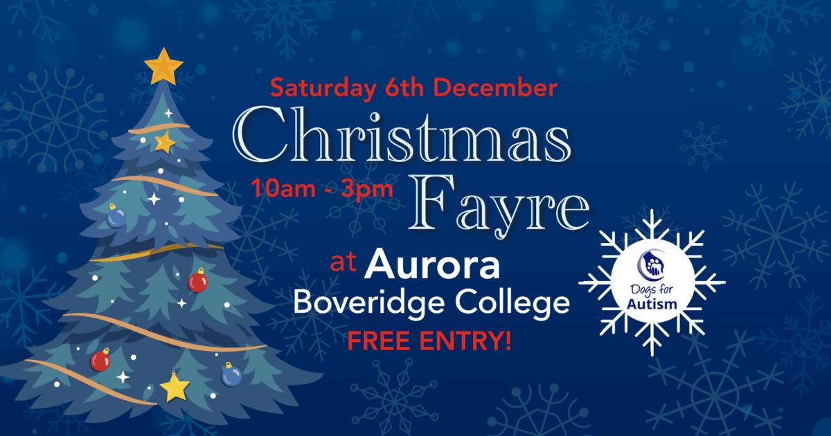 Christmas Fayre at Boveridge College