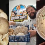 Family fungi growing lab