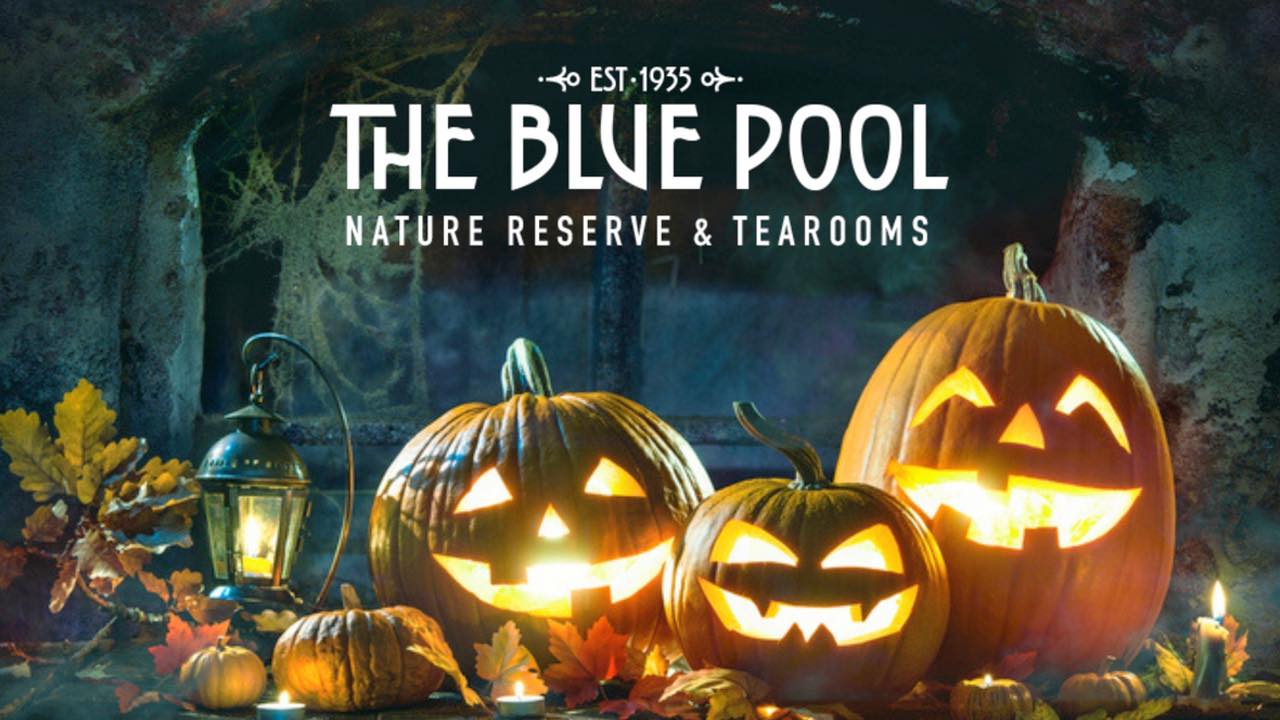 Half-Term Halloween Fun at The Blue Pool