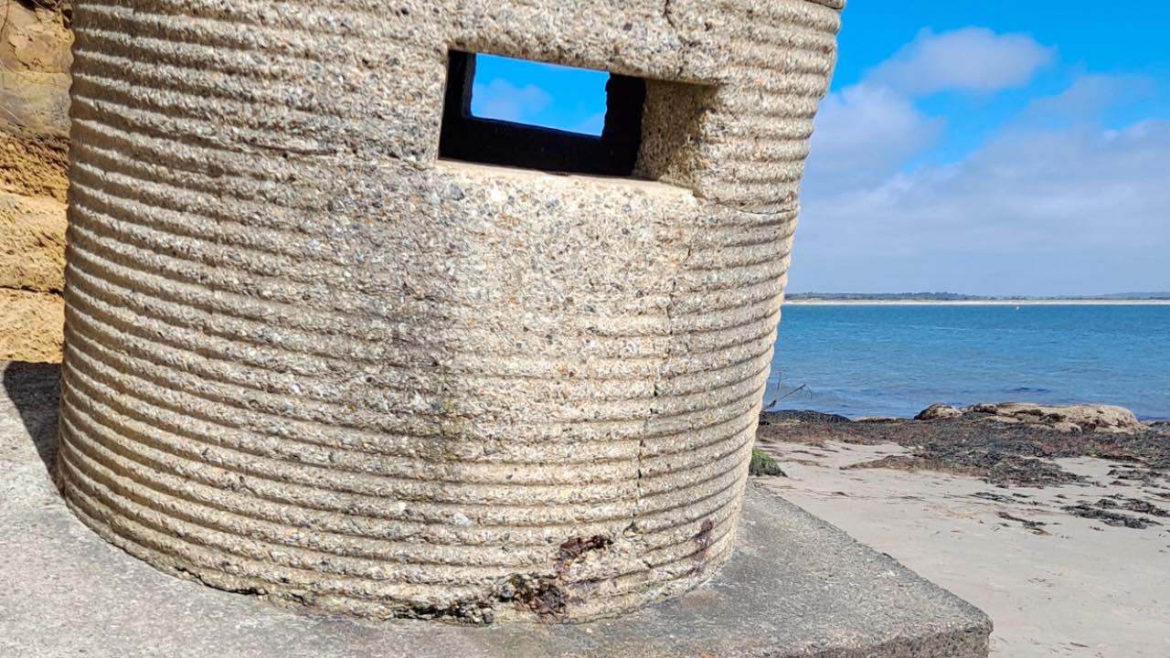 Discover WWII at Studland Walk - Anti-invasion Defences