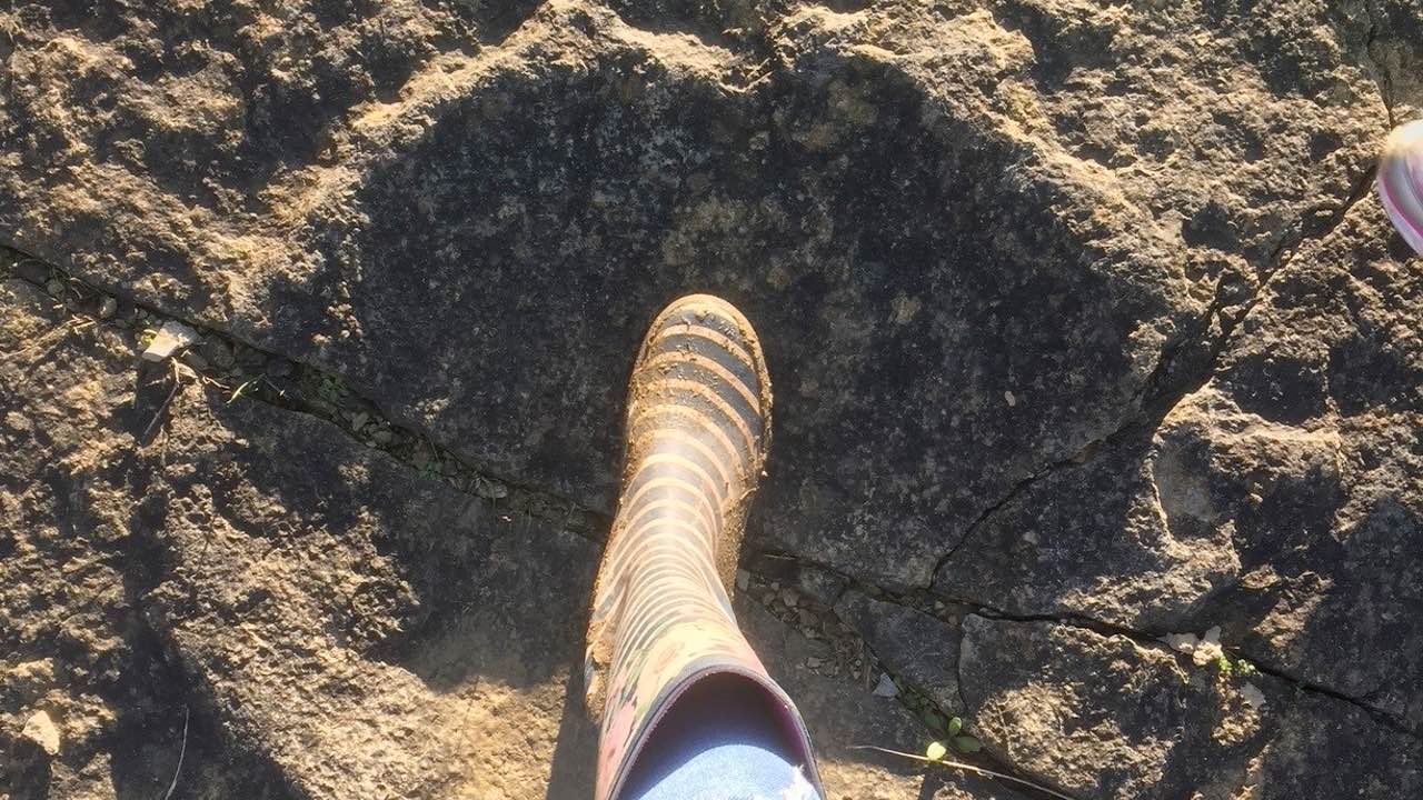 Dinosaur Footprints Walk