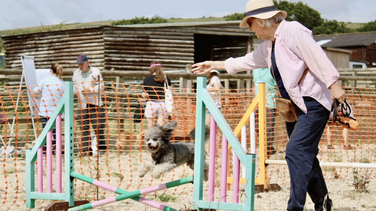 Country Dog Show 2025