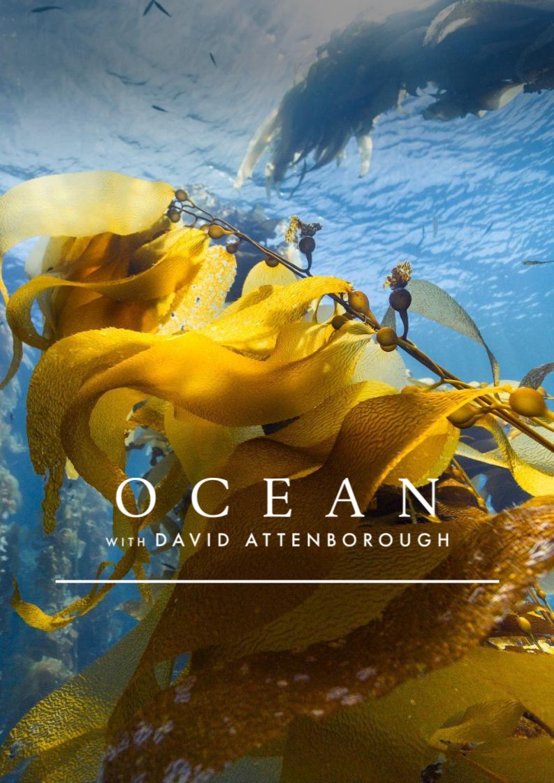 'Ocean with David Attenborough' film screening